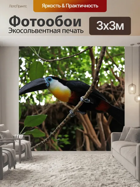 Фотообои Птица