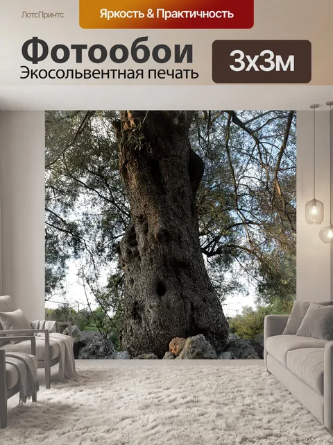 Фотообои Оливковое дерево