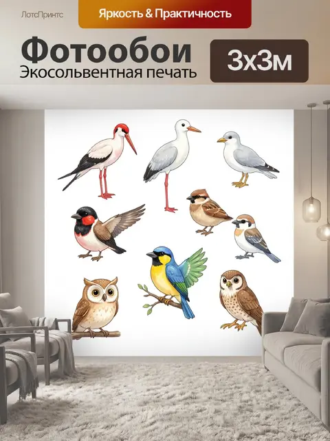 Фотообои Разные птицы на белом фоне