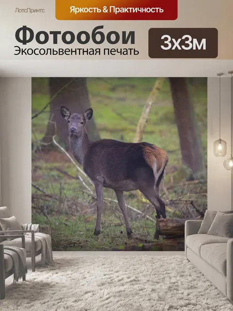 Фотообои олень