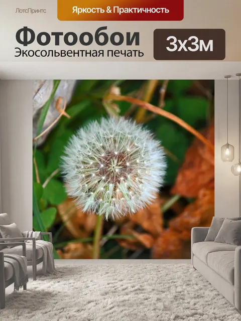 Фотообои мягкий белый пух семян одуванчика