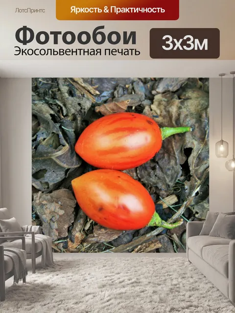 Фотообои упавшее дерево томатный фрукты