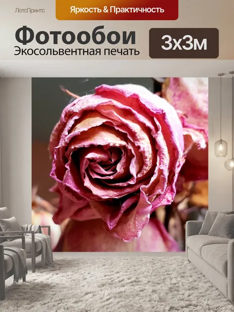Фотообои Сушеный цветок 1