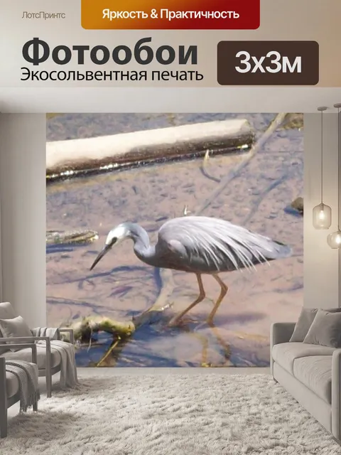 Фотообои Цапля