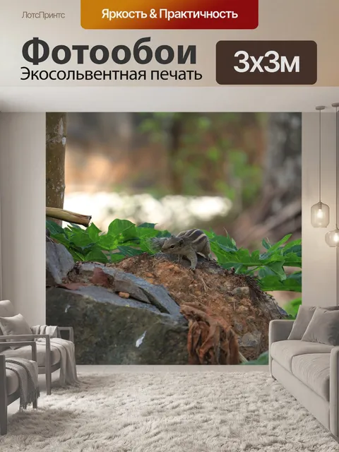 Фотообои Белка