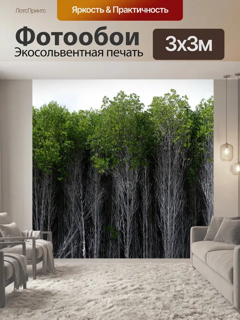 Фотообои Лес