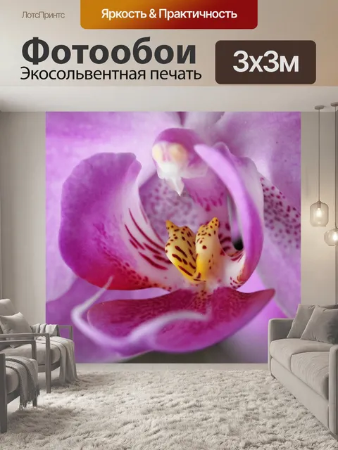 Фотообои Цветок