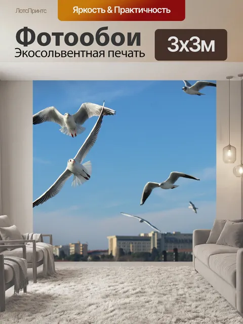 Фотообои Чайка