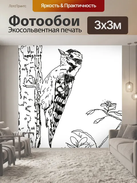 Фотообои Птица