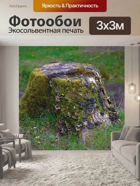 Фотообои Пень