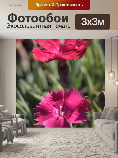 Фотообои Цветы