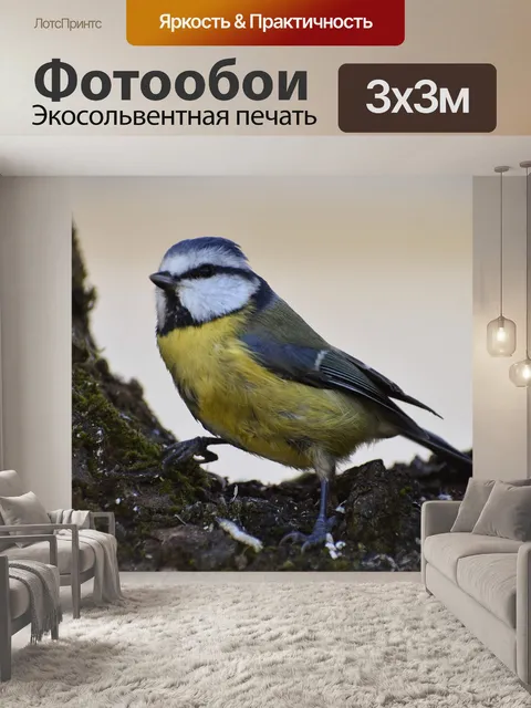 Фотообои Птицы