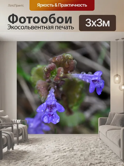Фотообои Цветы