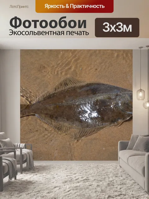 Фотообои Рыбы
