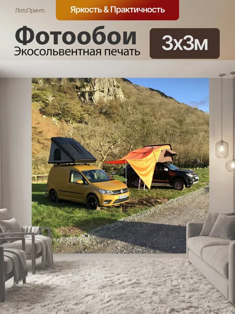 Фотообои Лесной массив