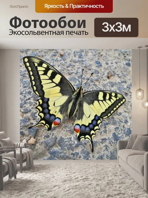 Фотообои Махаон в городе