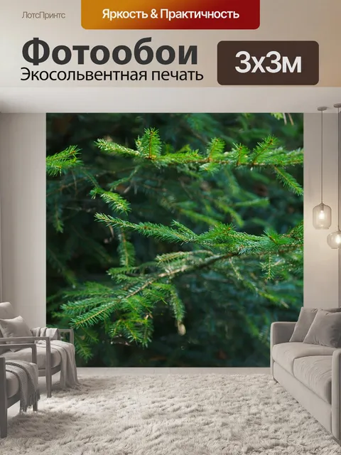 Фотообои Ель