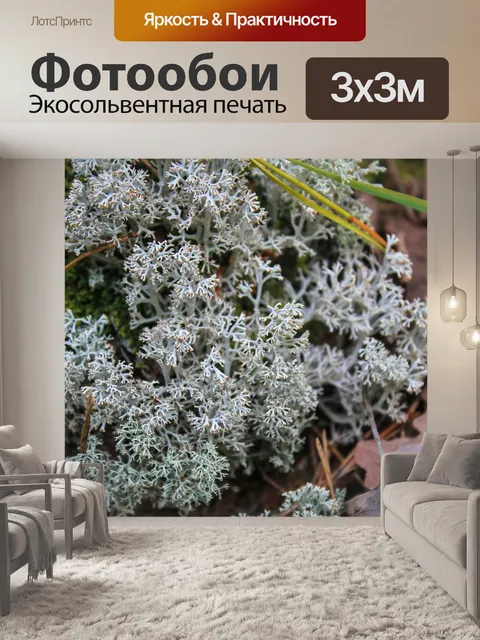 Фотообои Мох
