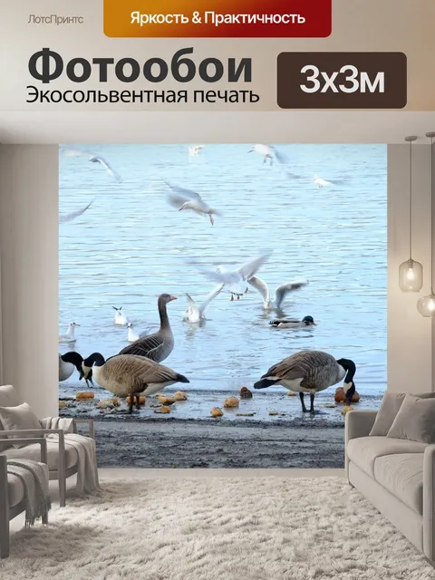 Фотообои Птицы