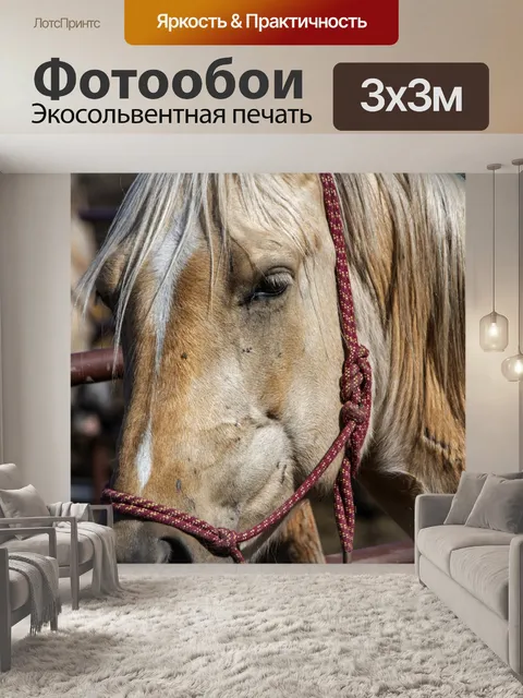 Фотообои лошадь