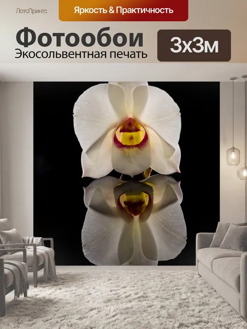 Фотообои Orchdee
