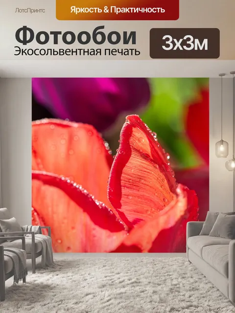 Фотообои Тюльпаны