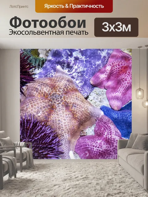 Фотообои морская звезда