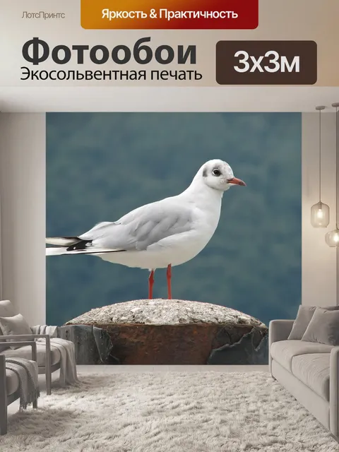 Фотообои Птица