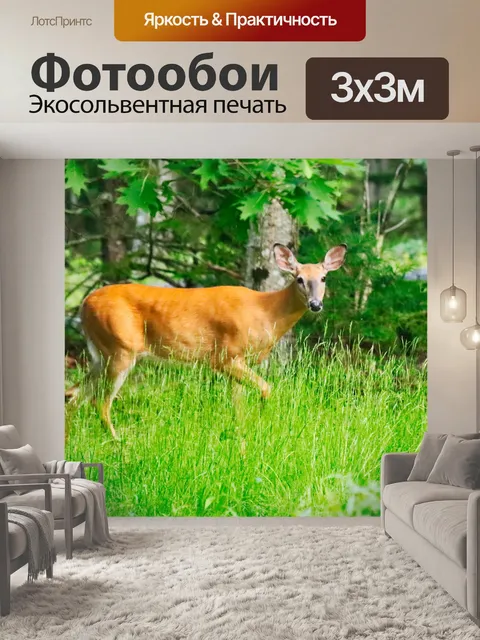 Фотообои олень
