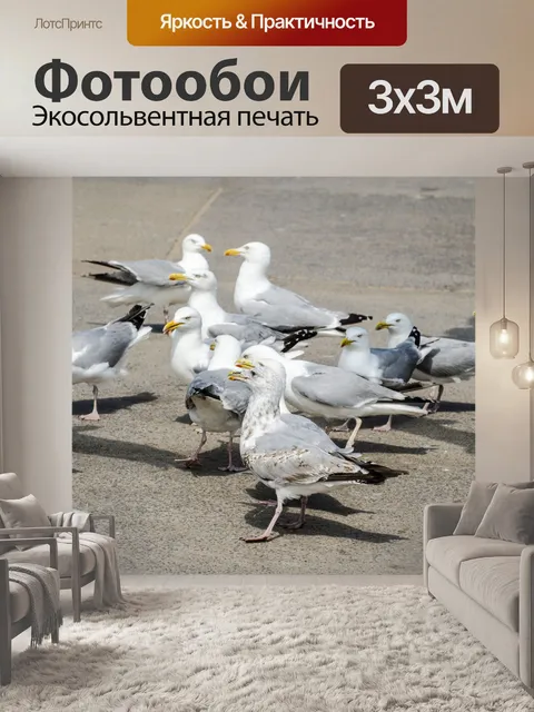 Фотообои Чайки