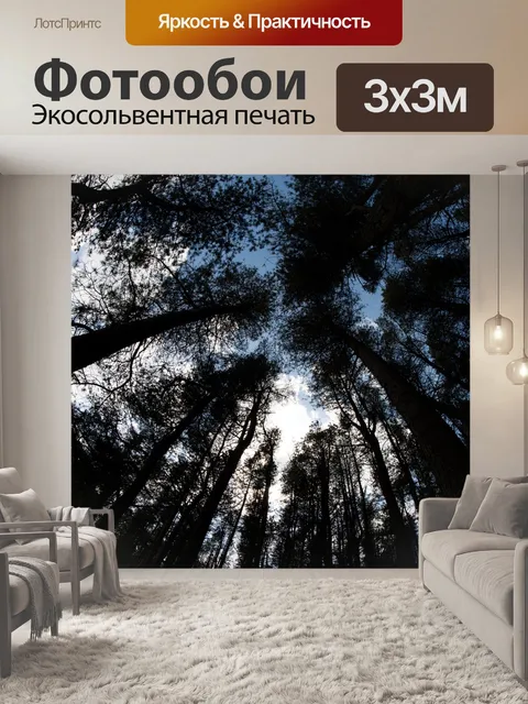 Фотообои Деревья