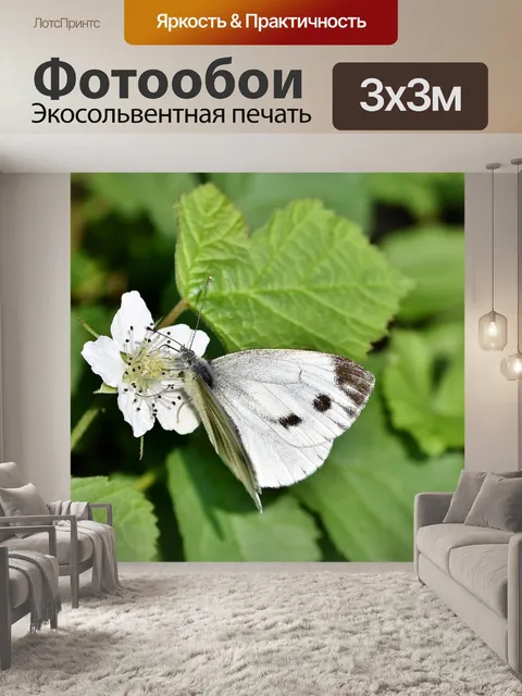 Фотообои Белый