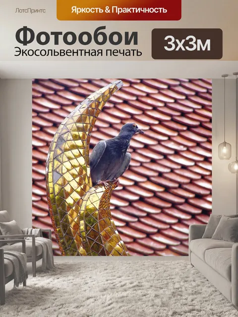 Фотообои Голубь