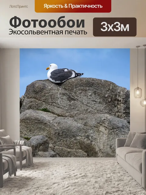 Фотообои чайка