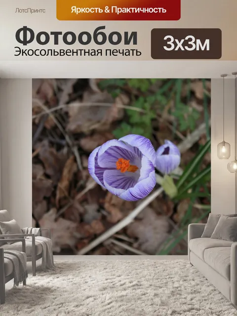 Фотообои Фон