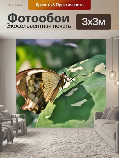 Фотообои Бабочка