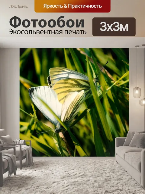 Фотообои Бабочка