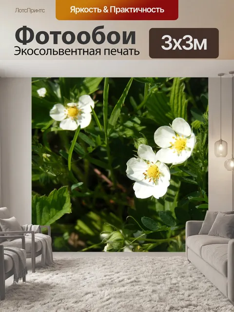 Фотообои Цветы