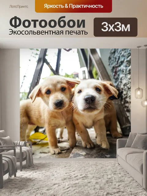 Фотообои Собака