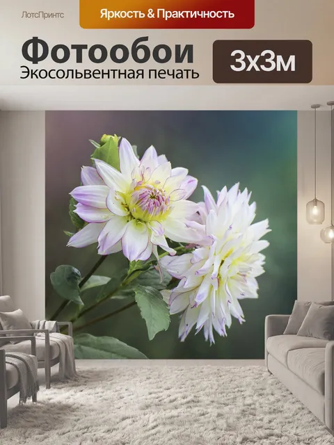 Фотообои Цветы
