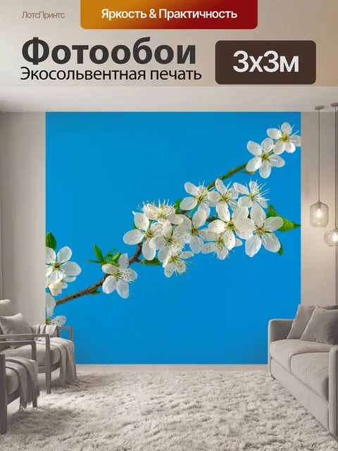 Фотообои Цветение вишни