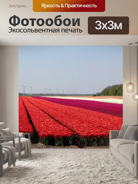 Фотообои Поля тюльпанов