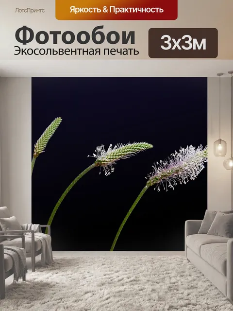 Фотообои Острие травы