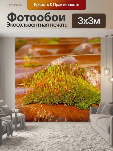 Фотообои Мох