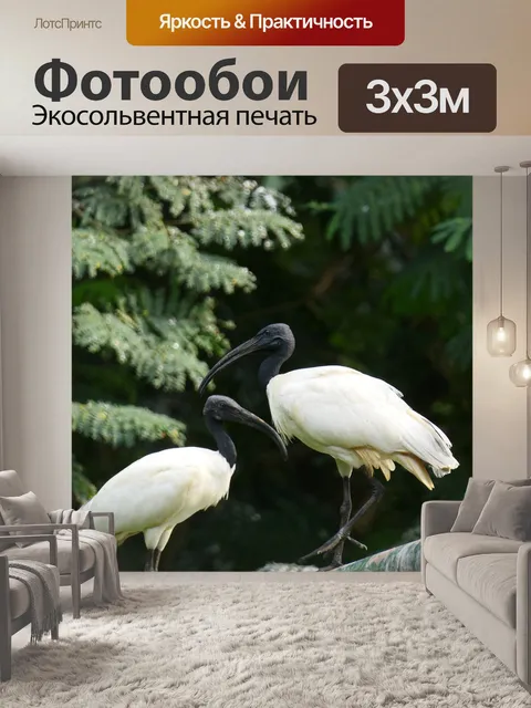 Фотообои Дикий