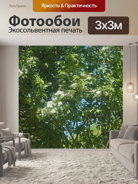 Фотообои Весна
