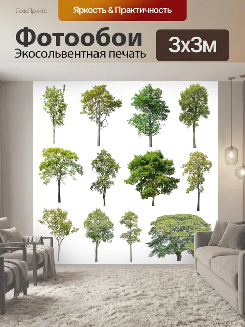 Фотообои Дерево