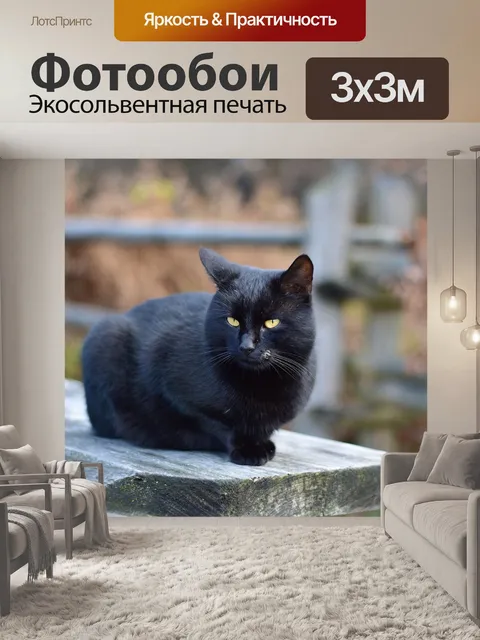 Фотообои Кошки