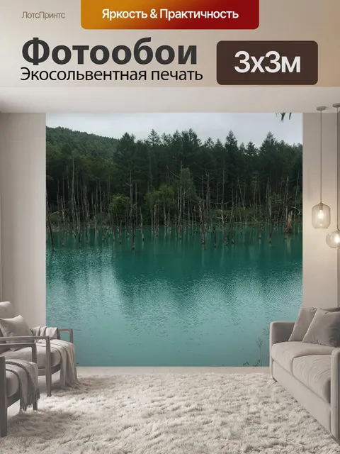 Фотообои К северу
