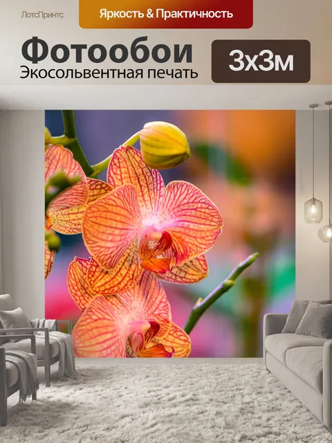 Фотообои Просто цветок